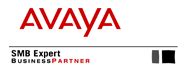 Chicago Business Telephone Systems CCS (Avaya EXPERT .